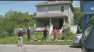 Animals, weapons removed from Sharon home during search