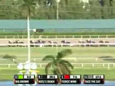 Florida Derby