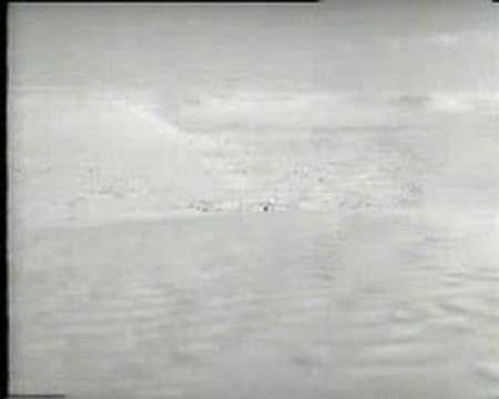 Ice Cold Lager In Alex