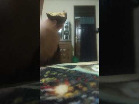 MUKBANG BISKUIT CHOCOLATE WITH INARA FALISHA RABANIA!!!