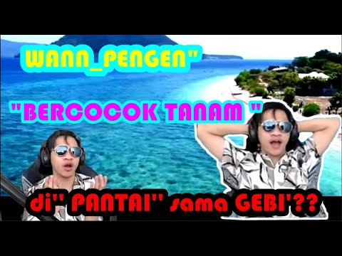 WANN PENGENGEN BERCOCOK TANAM SAMA GEBI DI PANTAI #evoswann#wanngebi#mobilelegends