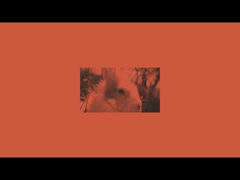 Opał - Oczy szeroko zamknięte | prod. MØJI