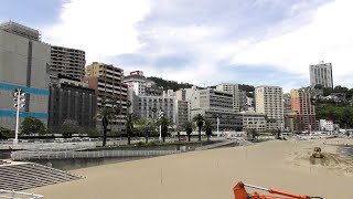 ほぼ写真で見る　熱海のジャガランダ始め、花菜ガーデンや小田原城も観れるバスツアーに参加　　2025年6月