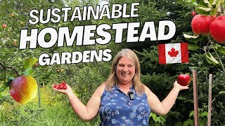 Sustainable Plants All Homestead gardens Must Have!