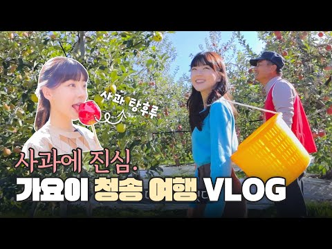 [VLOG] 청송여행브이로그 | 커플브이로그 | 청송사과 | 가요이키우기