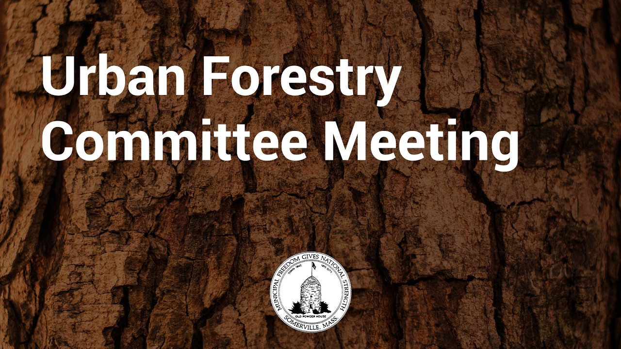 From the Other Committee