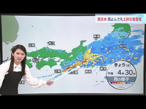 庭を雨から守る: この春の洪水と戦うために今すぐ植えるべき 5 本の木  庭園