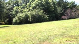 preview picture of video '8820 Pleasant Hill Rd, Knoxville, TN 37924'