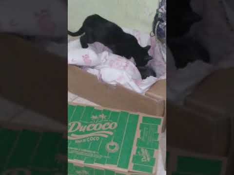 Estou me acostumando com ela