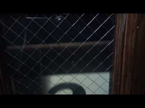 Epic E.C.A. Traction Passenger Elevator - Chicago, IL