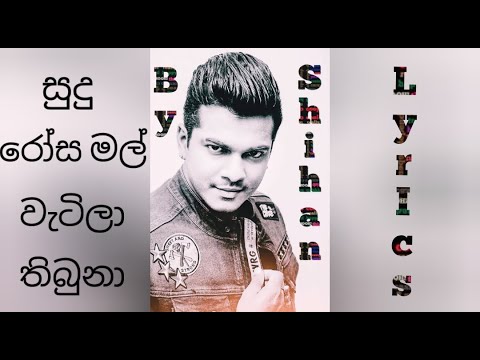 Sudu Rosa Mal - Shihan Mihiranga (Lyrics)