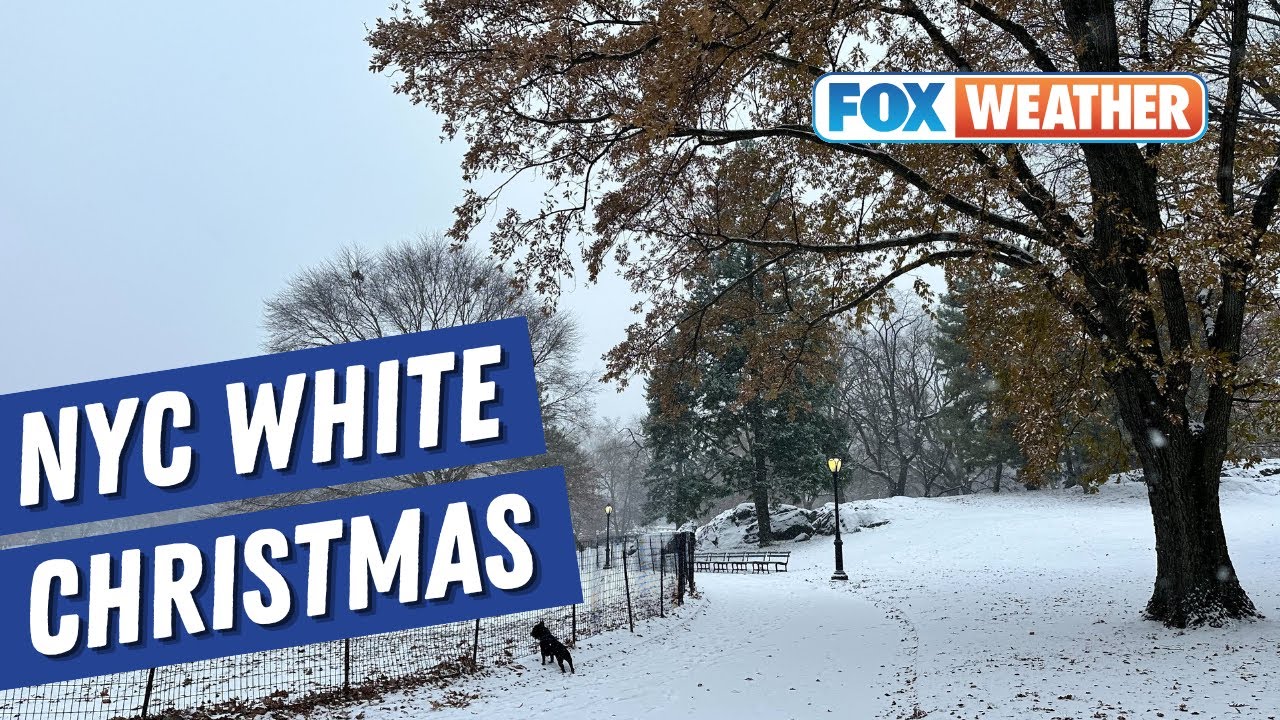 New York City Experiences First White Christmas In 15 years