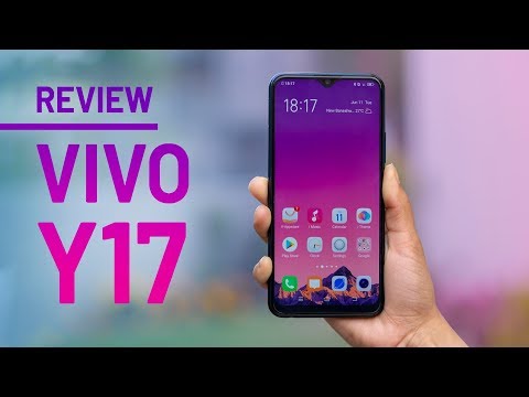 y 17