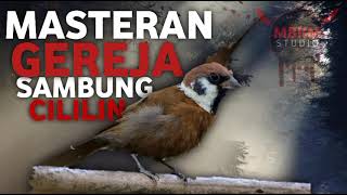 Download lagu MASTERAN MURAI ISIAN GEREJA SAMBUNG CILILIN mp3 Download lagu MASTERAN MURAI ISIAN GEREJA SAMBUNG CILILIN mp3