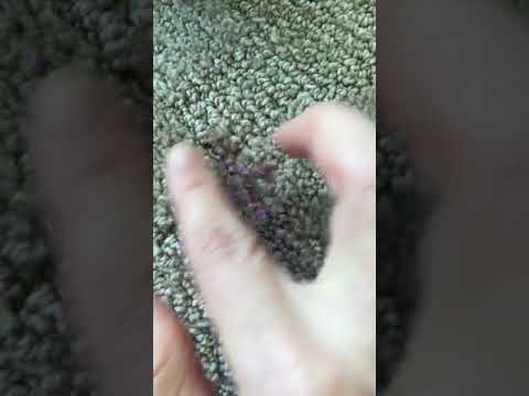 YouTube video about: How to get clay out of carpet?