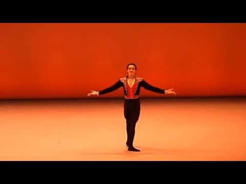 Don Quixote Age 18 Shale Wagman