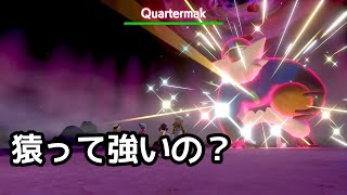 【色違いレイド】ナゲツケサルレイド【ポケモン剣盾】