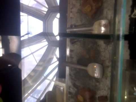 Ice Cream Ninjas video