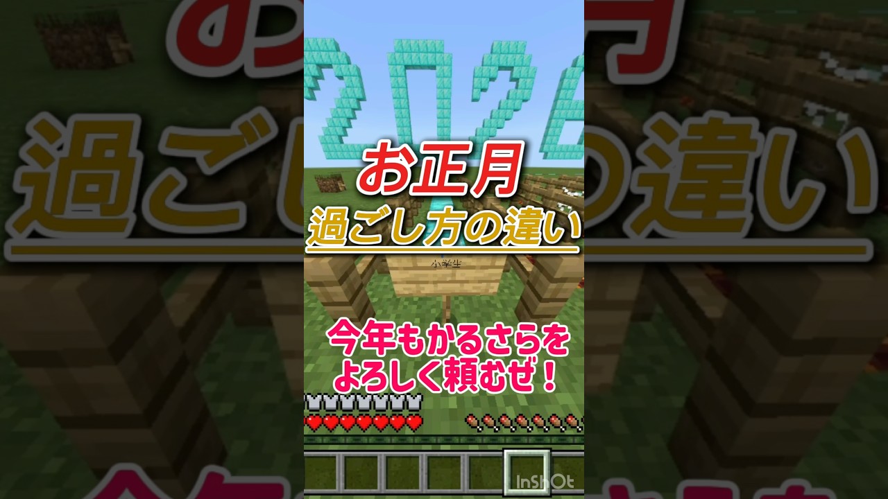 お正月の過ごし方の違い！#shorts #マイクラ　#minecraft  #新年