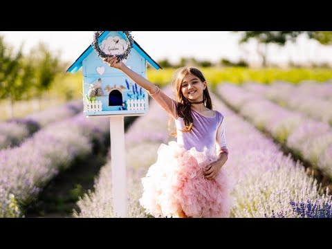 Alexia Florea - Fight song (cover)                                    Academia de Arte Modus Vivendi