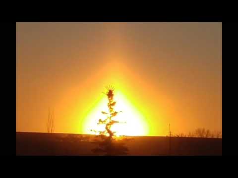 sunrise through trees winter ice crystals sundogs