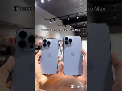 iPhone 13 Pro Vs iPhone 13 Pro Max Camera Test! #shorts