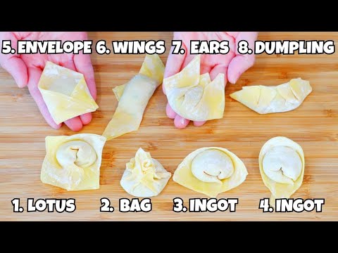 8 Cool Ways to Fold Wontons at Home