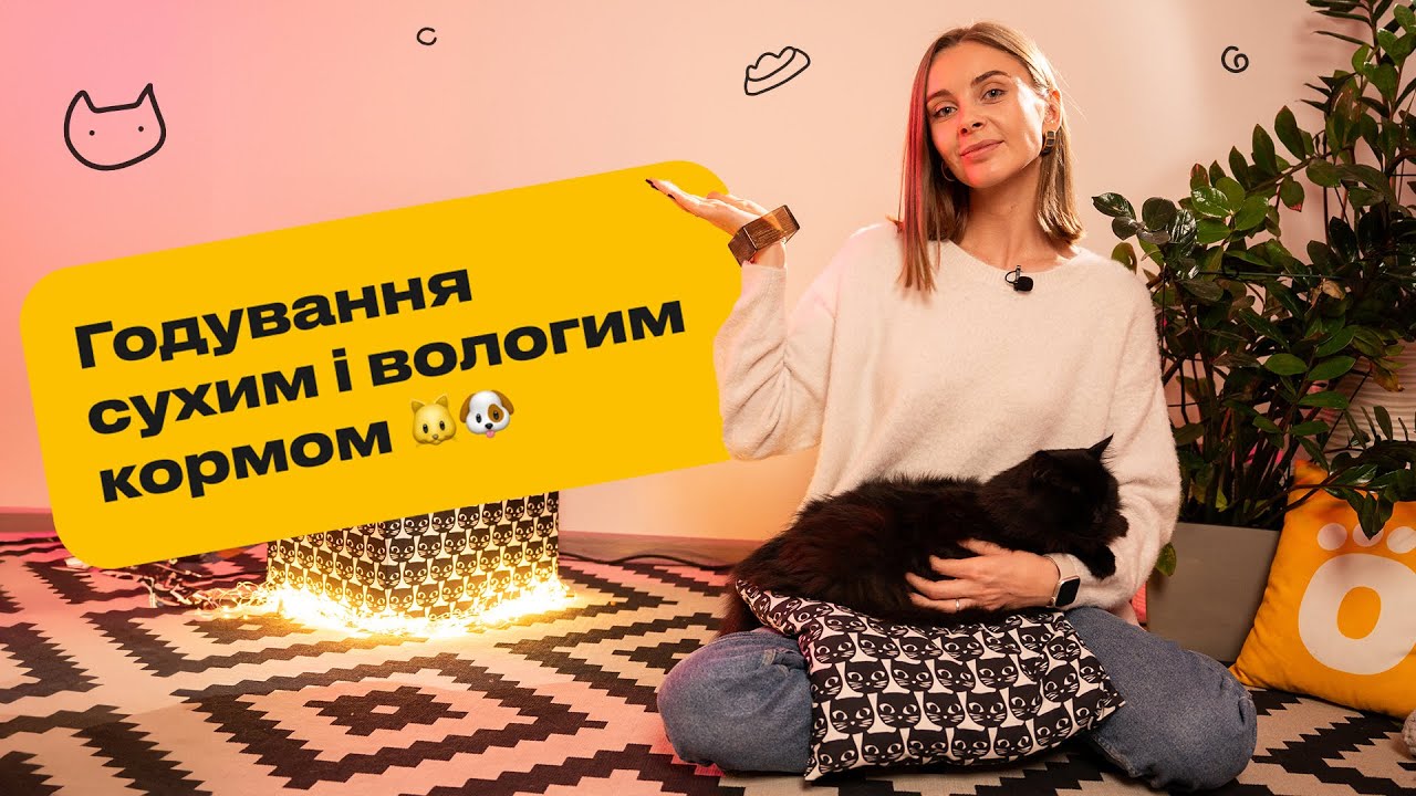 YouTube video preview