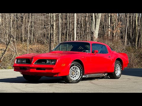 1977 Pontiac Firebird Trans Am (CC-2022783) for sale in Saugatuck, Michigan
