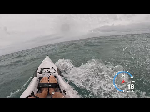 Fun at 2023 Vaikobi King and Queen of the Harbour - Fenn Bluefin S