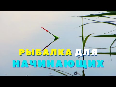 Поплавочная удочка для начинающих. Всё что нужно знать