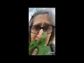Eat Your Vegetables Original Vs Tiktok Remix