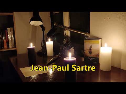 Jean-Paul Sartre: Der Ekel / Teil 1/24 Hörbuch 