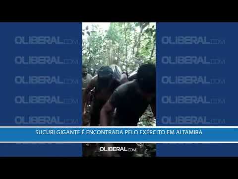 Sucuri gigante é encontrada pelo Exército