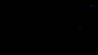 Pato Fu - O amor em carne e osso