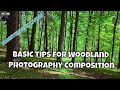 5 1/2 Tips To Make A Simple and Beautiful Woodland Photography Composition