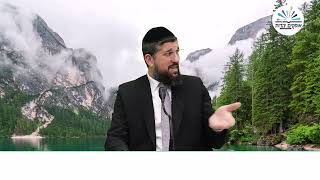 שלמה המלך ואשמדאי מלך השדים | מלכים א - פרק ו 4 | הרב אליהו עמר (הרב אליהו עמר) - התמונה מוצגת ישירות מתוך אתר האינטרנט יוטיוב. זכויות היוצרים בתמונה שייכות ליוצרה. קישור קרדיט למקור התוכן נמצא בתוך דף הסרטון