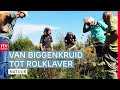 Welke planten groeien er in het wild? | ROEG!