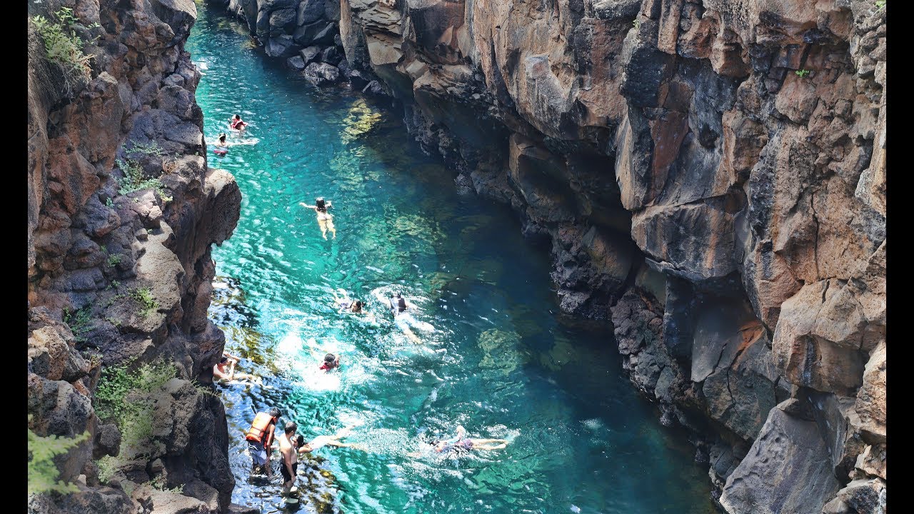 Watch Las Islas Galápagos - Santa Cruz 1era parte Now Las Islas Galápagos - Santa Cruz 1era parte