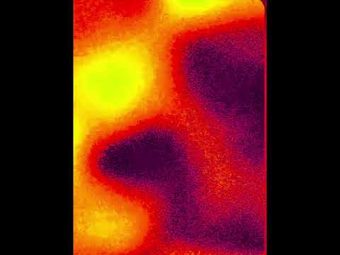 tshu tshu the reign is coming