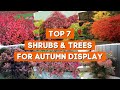 7 Best Shrubs and Trees for a Beautiful Autumn Display 🍁🌲🌳