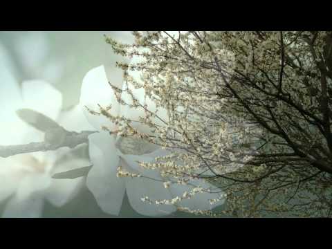 SLIDESHOW SANJARENJE