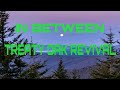 In Between Treaty Oak Revival Lyrics