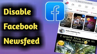 How to Disable Facebook News Feed