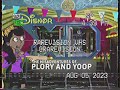 Disnor XD The Misadventures Of Plory And Yoop WBRB And NBTTS Bumpers Summer 2011 VHS Only