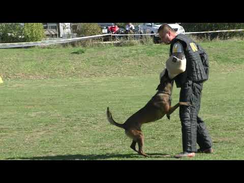 MM MSKS Zbraslav 2018 - Fiala Bohuslav - Neer Mi - Ji - obrana/defense