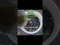 Boost Seedlings W DIY AMF Aloe Vera Root Drench Enhances Water Nutrient Uptake SoilHealth