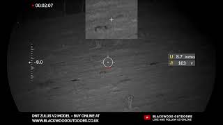 DNT Zulus V2 Rabbit Airgun Shooting