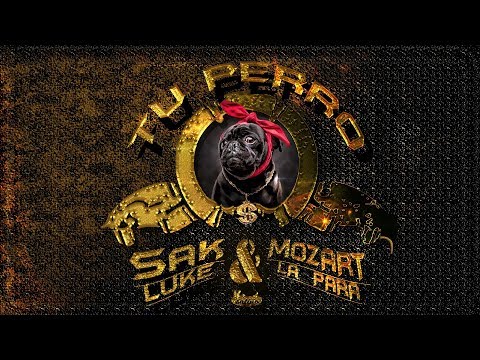 Sak Luke,  Mozart la Para - Tu perro (Lyric Video)