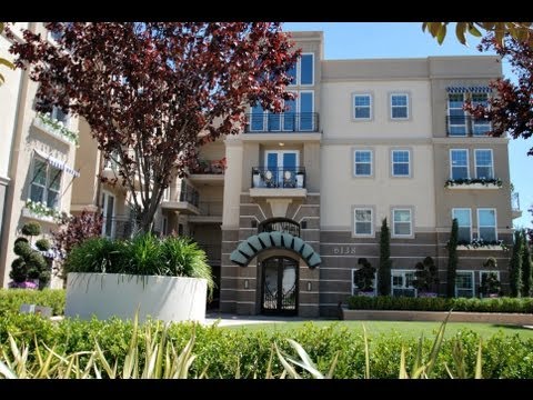 Niko Deleon Realty Hollywood Studio For Immediate Lease